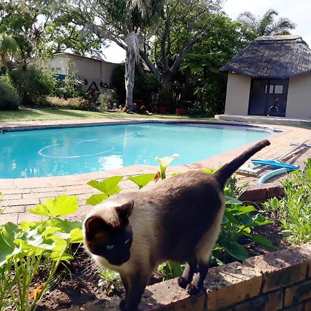 Field'S Rest Bed & Breakfast Port Elizabeth Luaran gambar